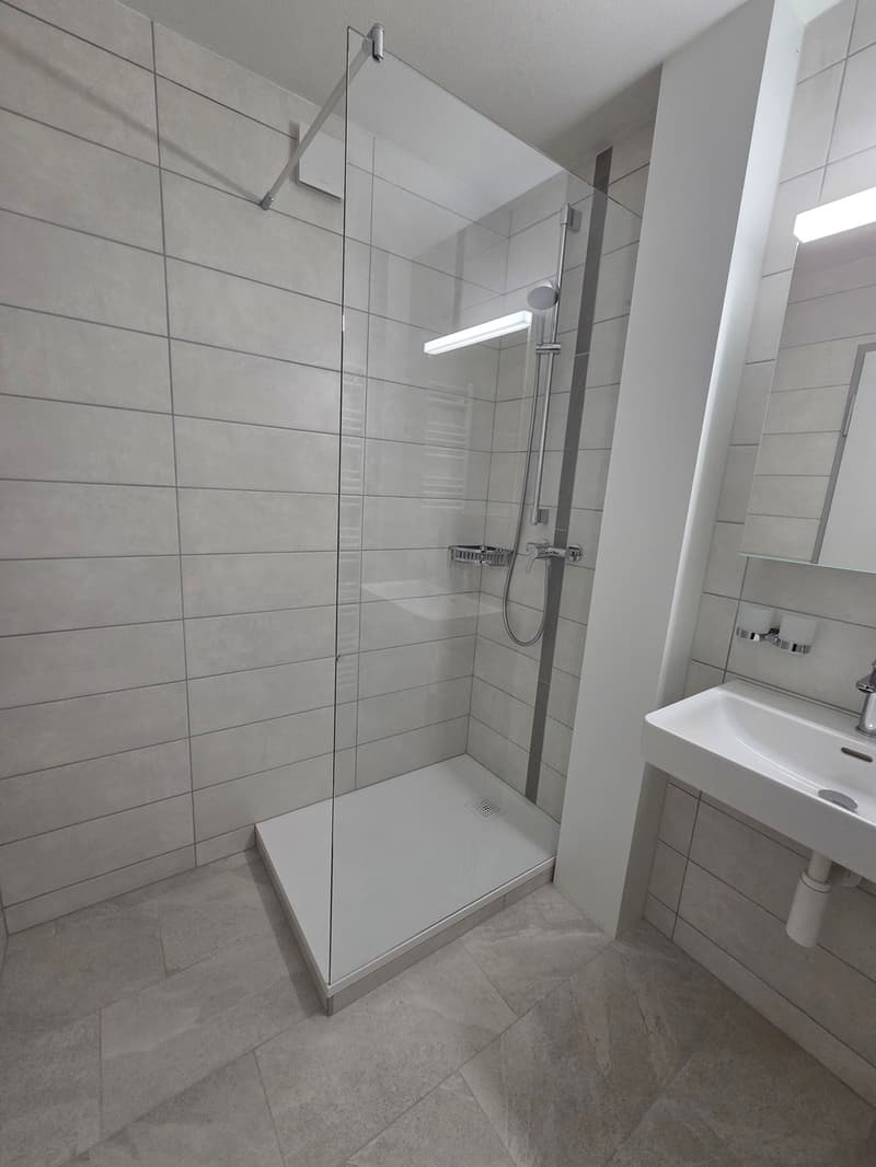 Appartement de 3,5 pièces rénové de 70m2 (2)