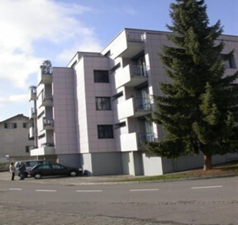 Bel appartement de 3,5 pièces rénové avec balcon (7)