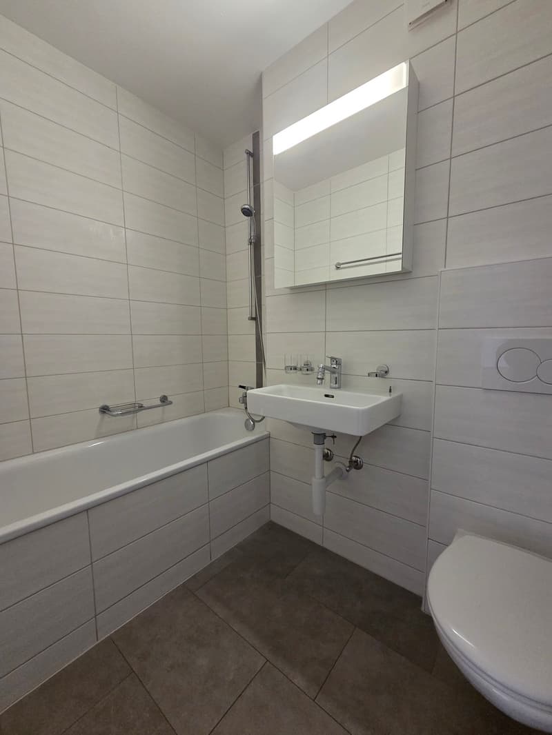 Bel appartement de 3,5 pièces rénové avec balcon (2)
