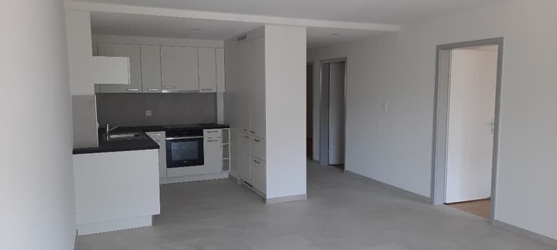 Appartement de 4,5 pièces rénové avec balcon (2)