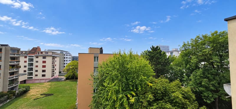 Calme, lumineux et prêt à vivre  Beau 4 pièces au dernier étage (13)