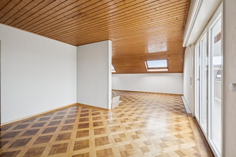 Adresse rare au centre de Saint-Sulpice ! (4)