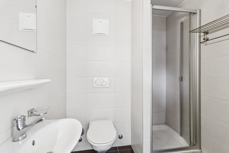 Rare attique-duplex moderne entre Lausanne & Pully (10)