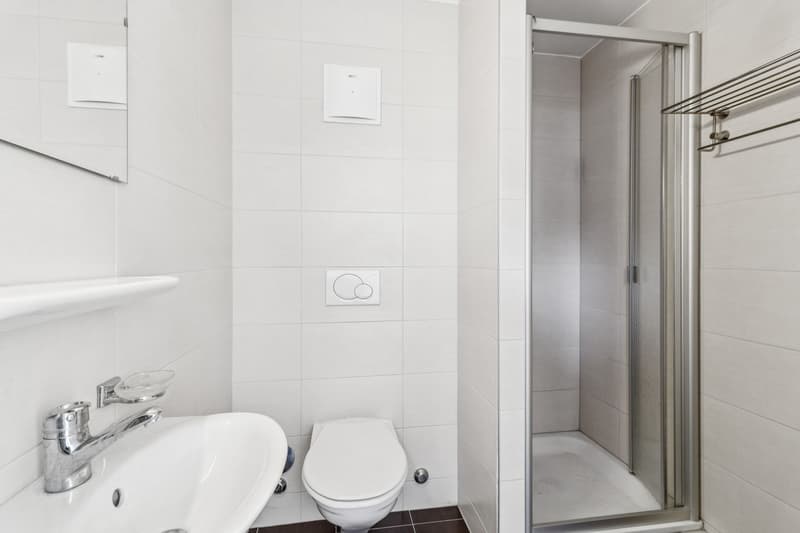 Rare attique-duplex moderne à Lausanne (10)