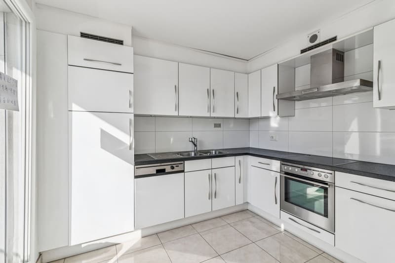 Rare attique-duplex moderne entre Lausanne & Pully (6)