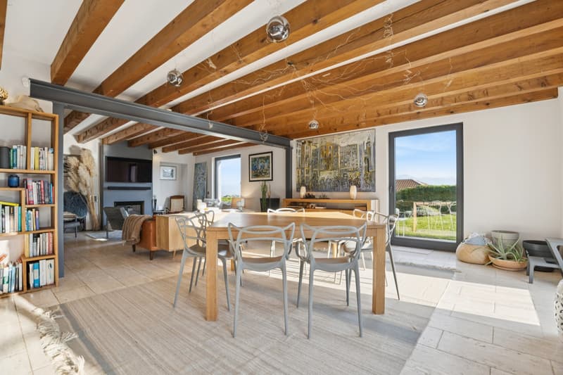 Villa individuelle avec vue panoramique sur le lac Léman (4)
