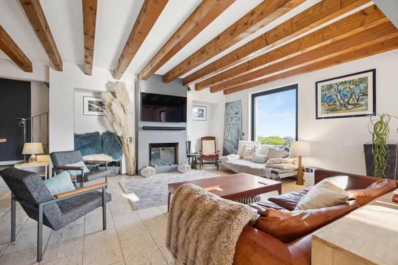Villa individuelle avec vue panoramique sur le lac Léman (3)