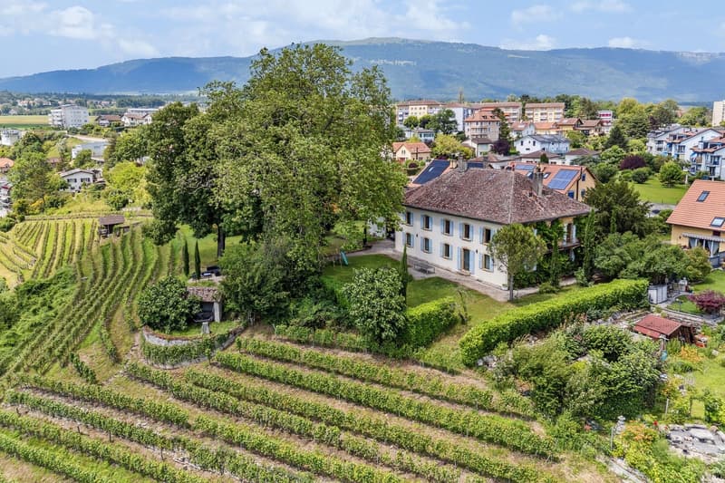 Somptueuse propriété historique sur un domaine viticole ! (8)