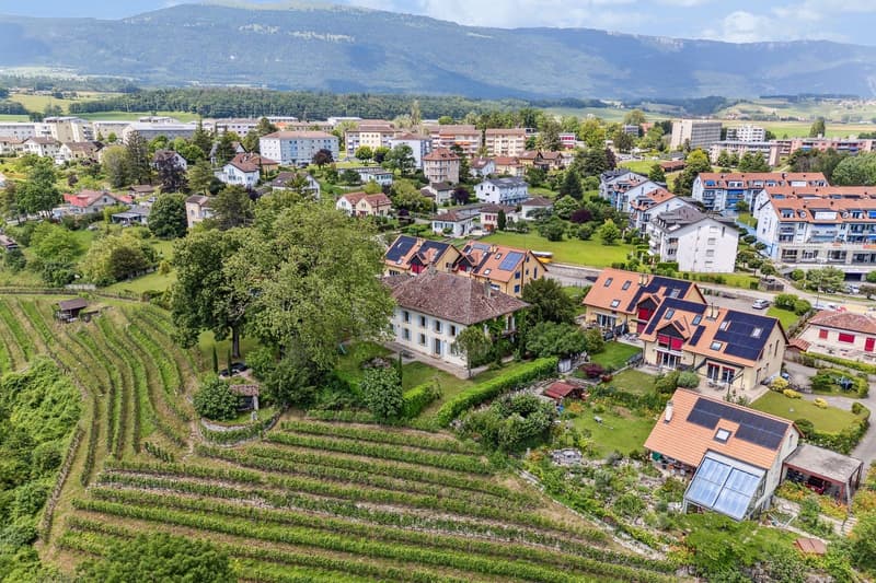 Somptueuse propriété historique sur un domaine viticole ! (6)