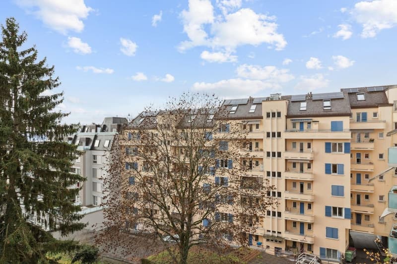 Charmant 2.5 pièces rénové avec vue lac et cachet historique - Centre (7)
