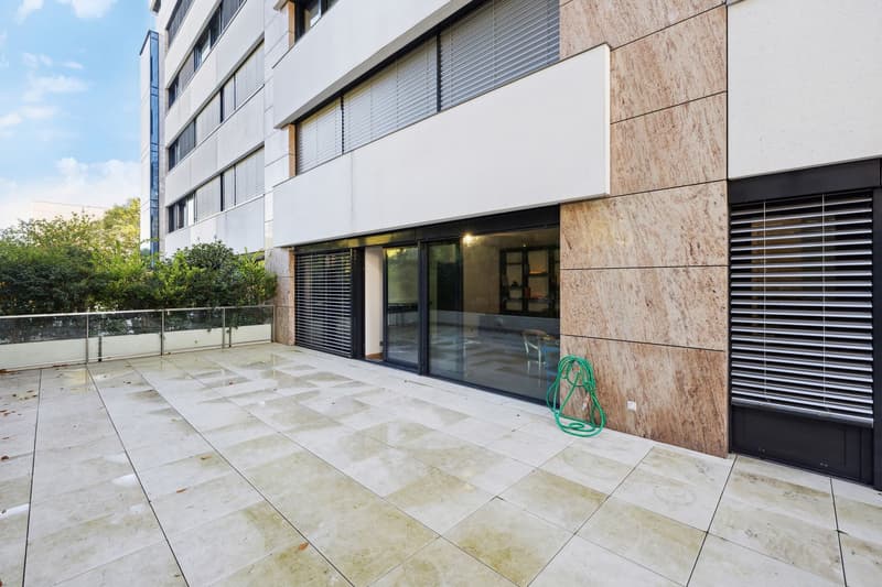 Magnifique appartement de 4 pièces avec terrasse (5)