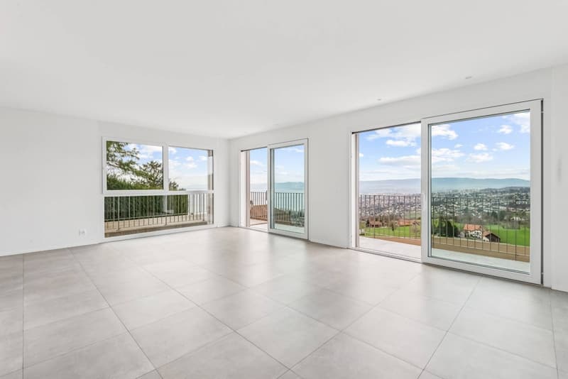 Entre lac et vignes : une villa moderne au charme irrésistible (6)