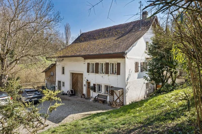 Ferme rénovée (5)
