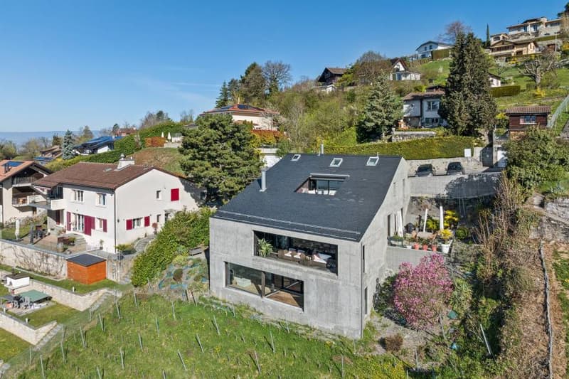 Duplex d'exception suspendu au dessus du Léman (13)