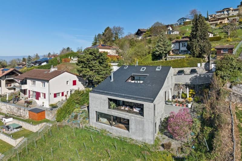 Duplex d'exception suspendu au dessus du Léman (13)