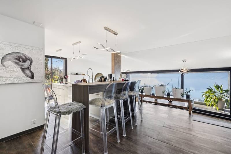 Duplex d'exception suspendu au dessus du Léman (2)