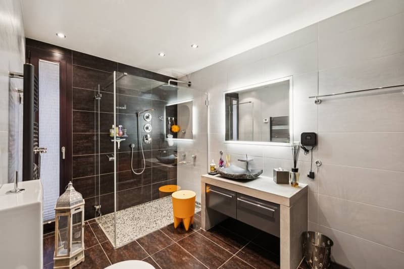 Duplex d'exception suspendu au dessus du Léman (8)