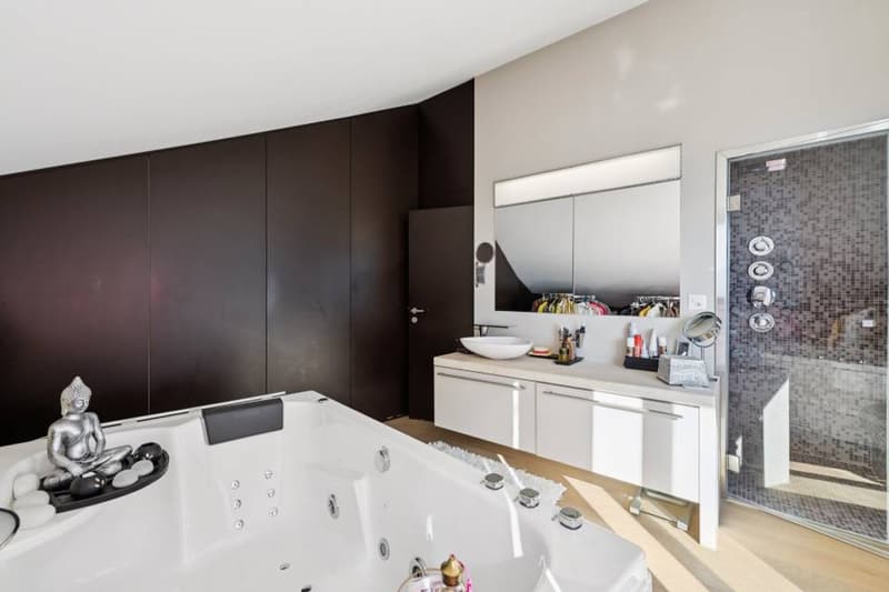 Duplex d'exception suspendu au dessus du Léman (10)