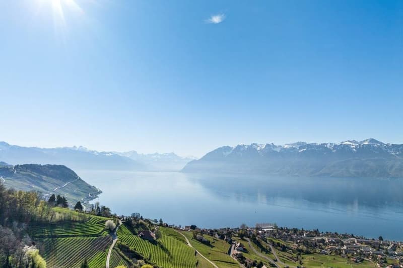 Duplex d'exception suspendu au dessus du Léman (12)