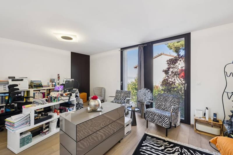 Duplex d'exception suspendu au dessus du Léman (11)