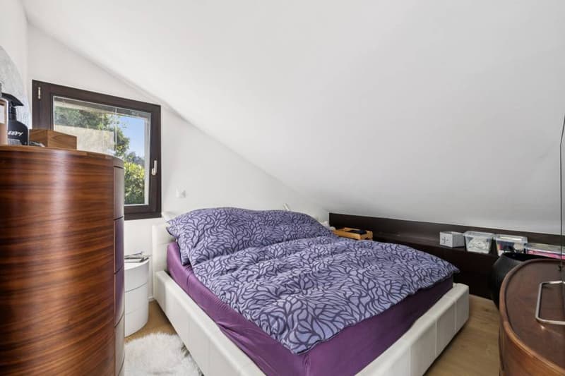Duplex d'exception suspendu au dessus du Léman (9)