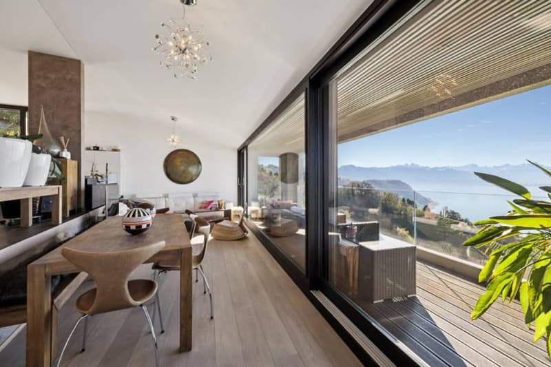 Duplex d'exception suspendu au dessus du Léman (5)