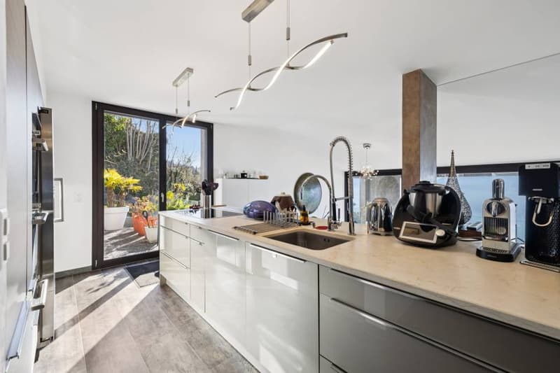 Duplex d'exception suspendu au dessus du Léman (6)