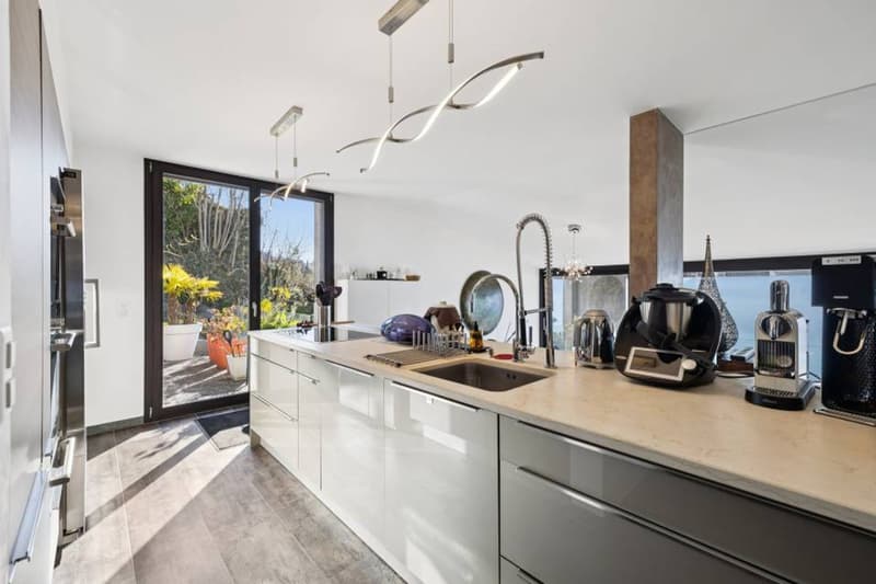 Duplex d'exception suspendu au dessus du Léman (6)