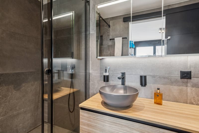 Propriété d'exception avec piscine & SPA (10)