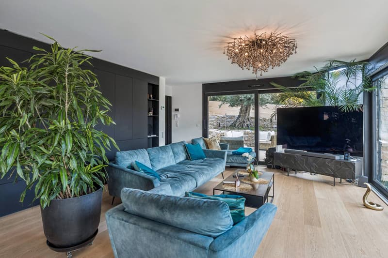 Propriété d'exception avec piscine & SPA (5)
