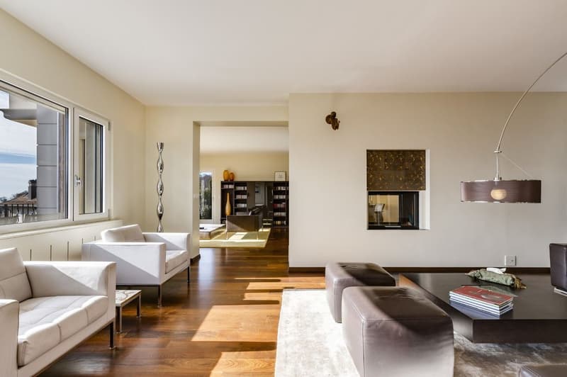 Spacieuse propriété moderne à la situation dominante (8)