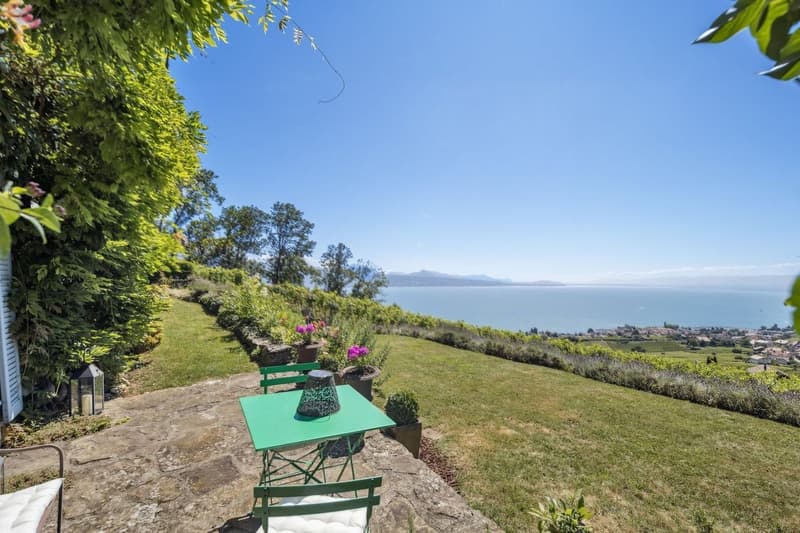Au coeur des vignes, une maison vigneronne d'exception face au Léman (3)