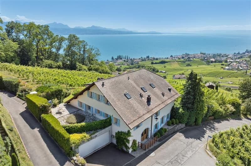 Au coeur des vignes, une maison vigneronne d'exception face au Léman (5)