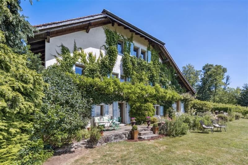 Au coeur des vignes, une maison vigneronne d'exception face au Léman (1)
