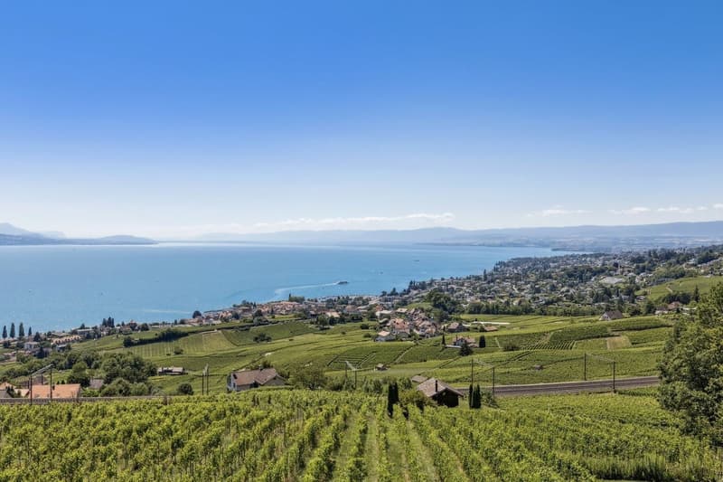 Au coeur des vignes, une maison vigneronne d'exception face au Léman (4)