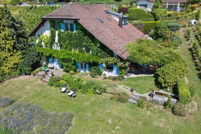 Au coeur des vignes, une maison vigneronne d'exception face au Léman (2)