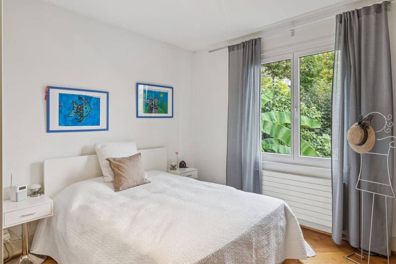 Superbe appartement avec grand jardin - Magnifique vue sur le lac (6)