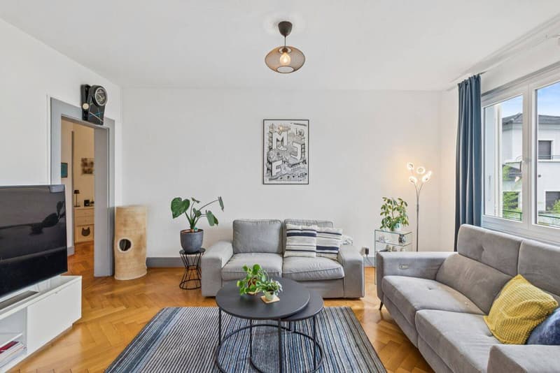 Superbe appartement avec grand jardin - Magnifique vue sur le lac (2)