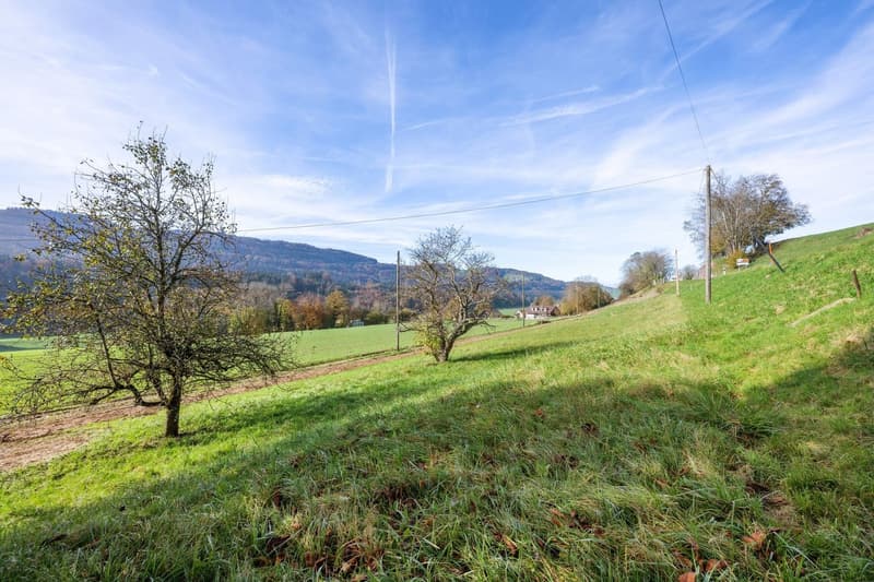 Maison individuelle rénovée - A 2 min. du village d'Attalens (12)