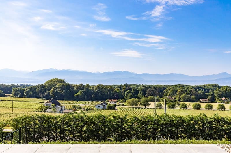 Villa individuelle au coeur des vignes avec vue panoramique sur le lac (1)