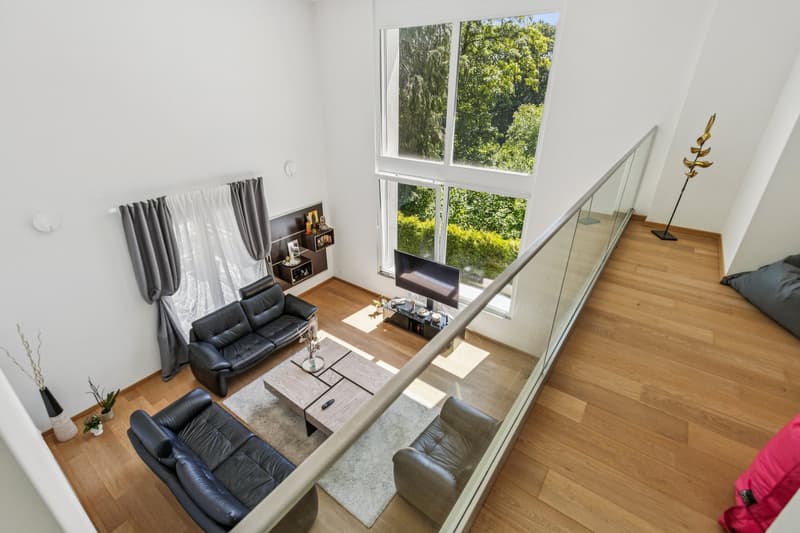 Villa individuelle contemporaine d'exception au coeur d'Epalinges (1)