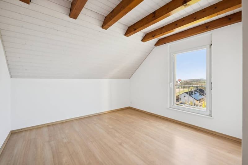 Magnifique maison familiale à 10 minutes de Lausanne (12)