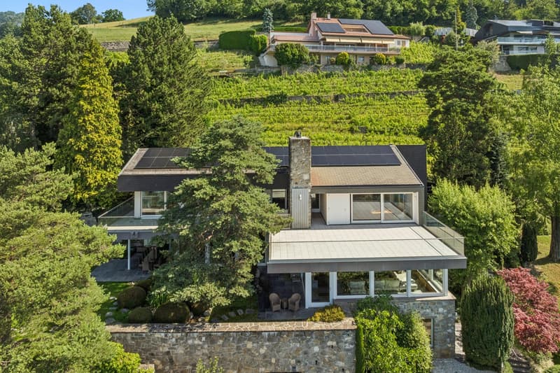 Une oeuvre architecturale suspendue entre ciel et lac (6)