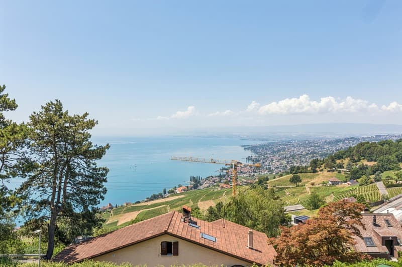 Propriété entre ciel, lac et vignes offrant un panorama d'exception! (1)