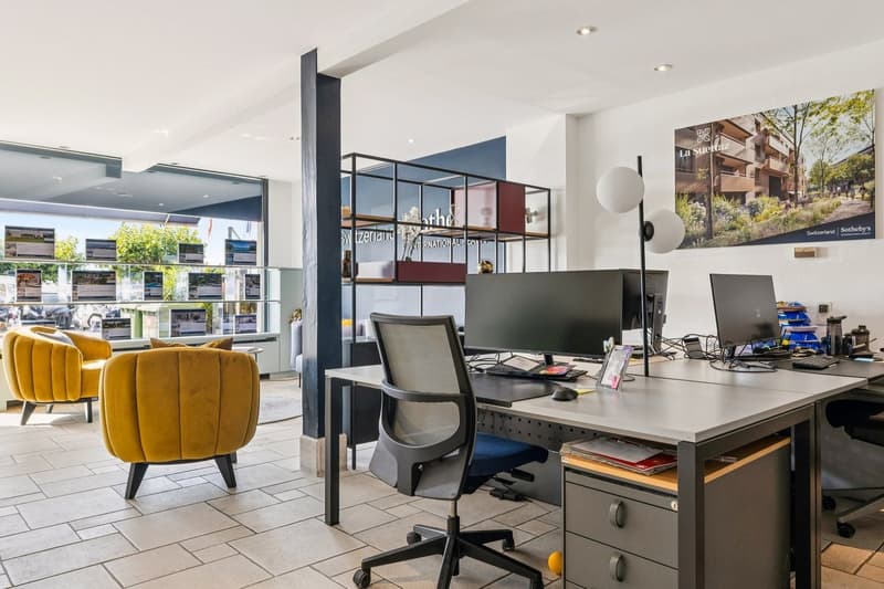 Opportunité d'investissement rare au centre-ville avec vue sur le lac (5)