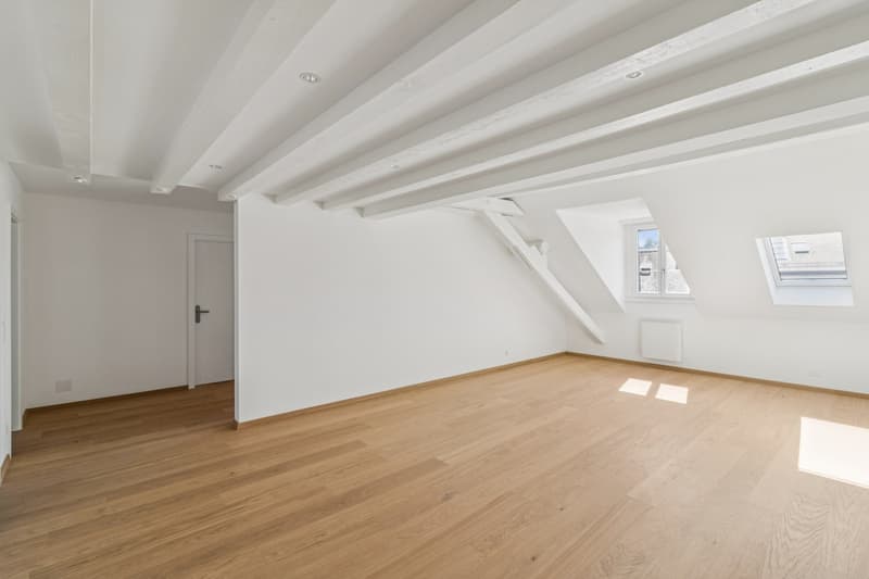 Magnifique appartement rénové de 5.5 pièces (10)