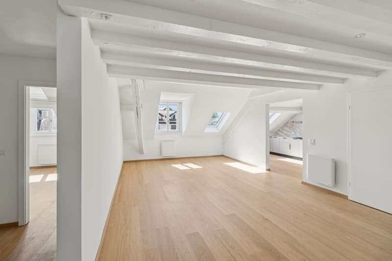 Magnifique appartement rénové de 5.5 pièces (9)