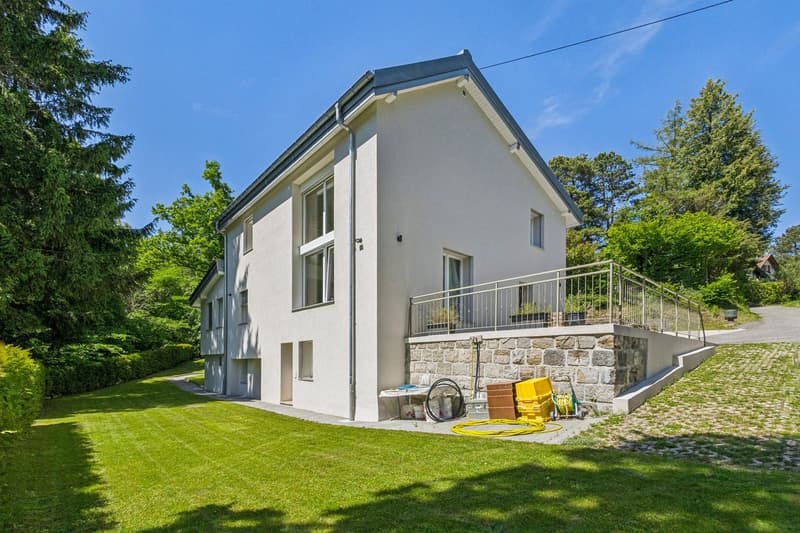 Villa individuelle contemporaine d'exception au coeur d'Epalinges (13)