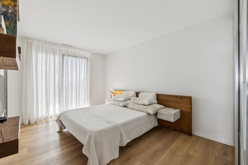 Magnifique appartement minergie avec grande terrasse de 42 m² vue lac (8)