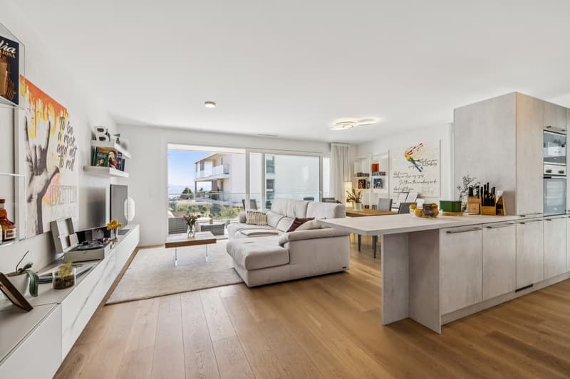 Magnifique appartement minergie avec grande terrasse de 42 m² vue lac (1)